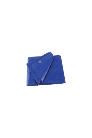 Blue Vinyl Tarp, 12' X 16' Low Price