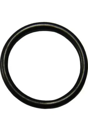 Next Day Delivery Sierra O-Ring #18-76694