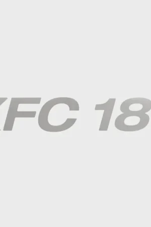 Final Sale Lowe XFC 189 Boat Decal 2345410 | Metallic Silver Vinyl Sticker